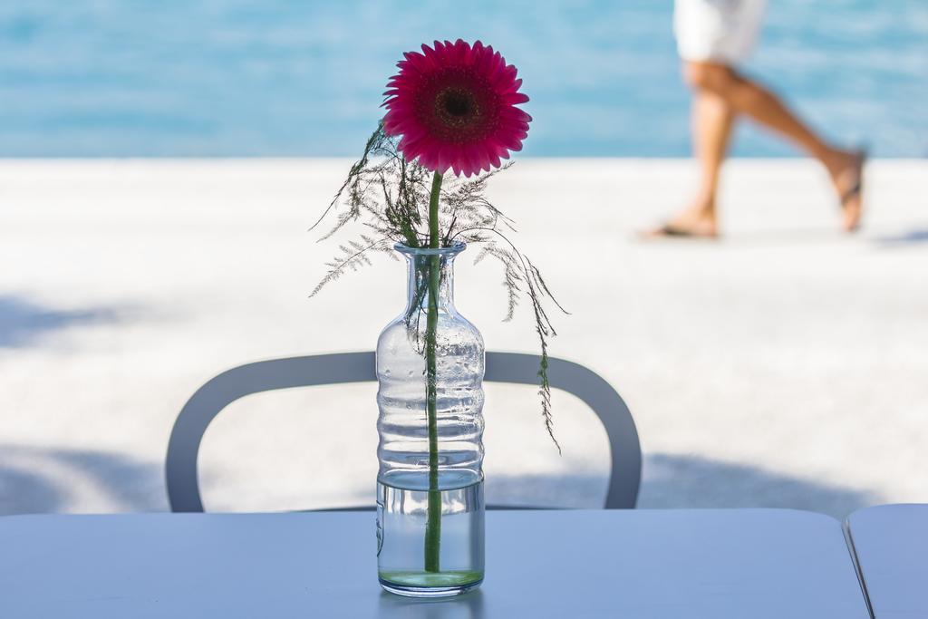 Hotel Domus Maritima Trogir Zewnętrze zdjęcie